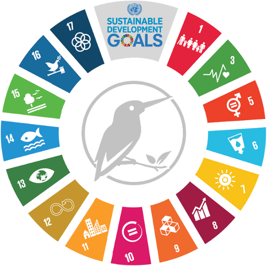 The United Nations Sustainable Development Goals